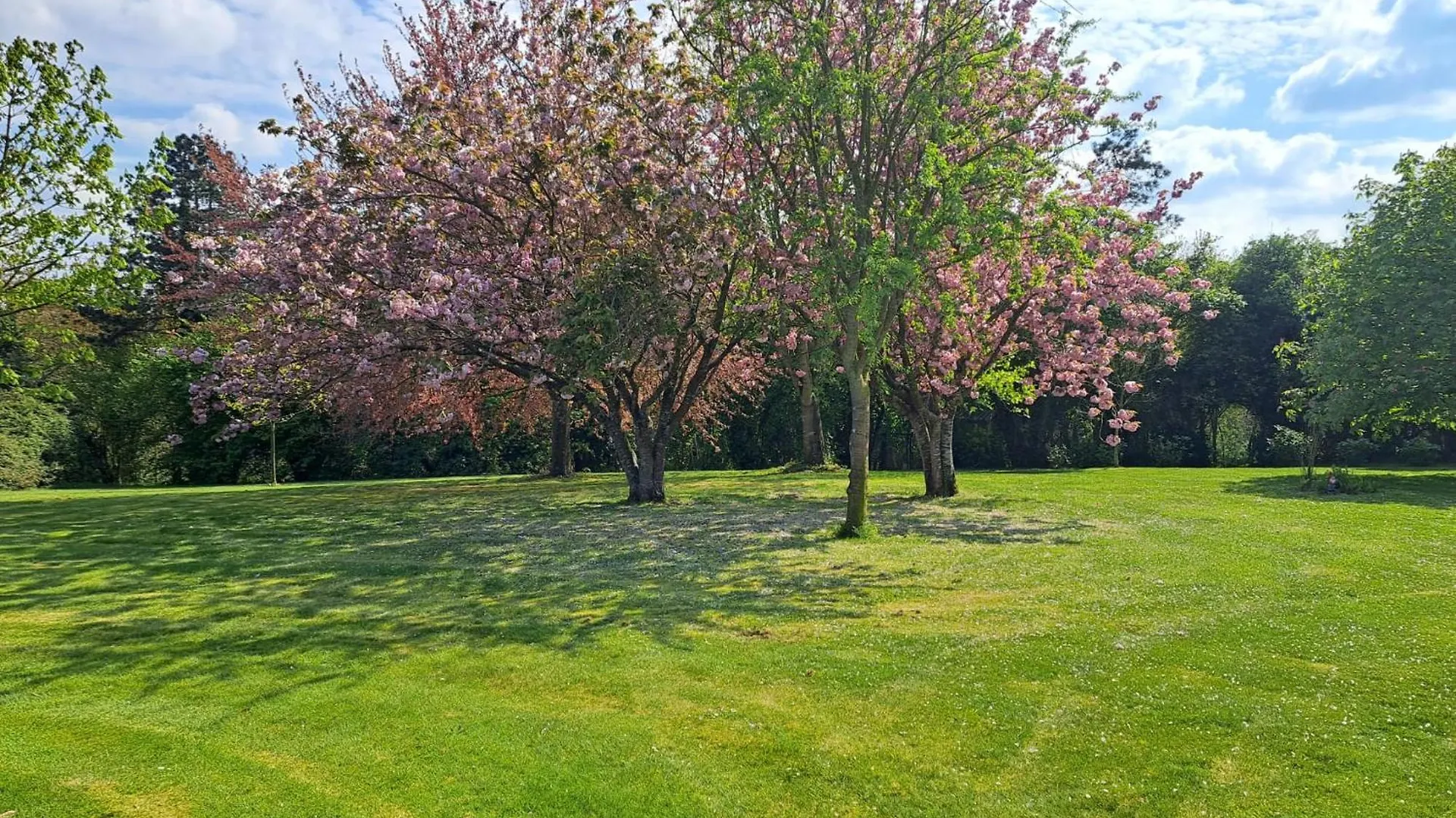 Les 3 Rivieres Villa Minihy-Tréguier Vakantiehuis